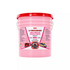 Fire Rescue Vehicle Wash Pink Bubble Gum 20L